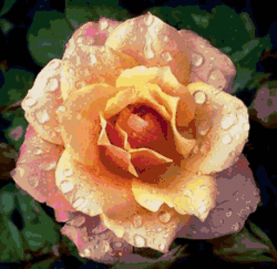 подушка роза - цветы, роза, подушка, пано - предпросмотр