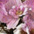 Предпросмотр схемы вышивки «сиреневые цветы» (№650765)
