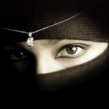 Схема вышивки «взгляд2»