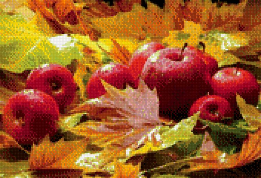 Осенние яблоки - фрукты, осень - предпросмотр