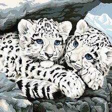 Схема вышивки «Голубоглазики»