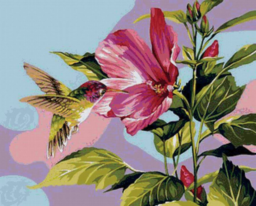 Калибри - природа, птицы - предпросмотр