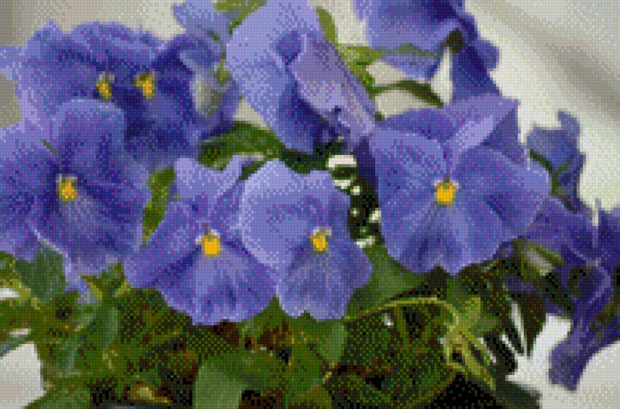 Цветочки) - предпросмотр