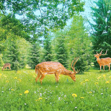 Схема вышивки «олени»