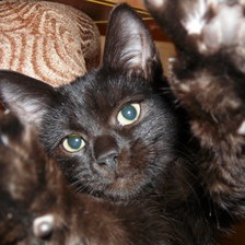 Схема вышивки «Снэйп»