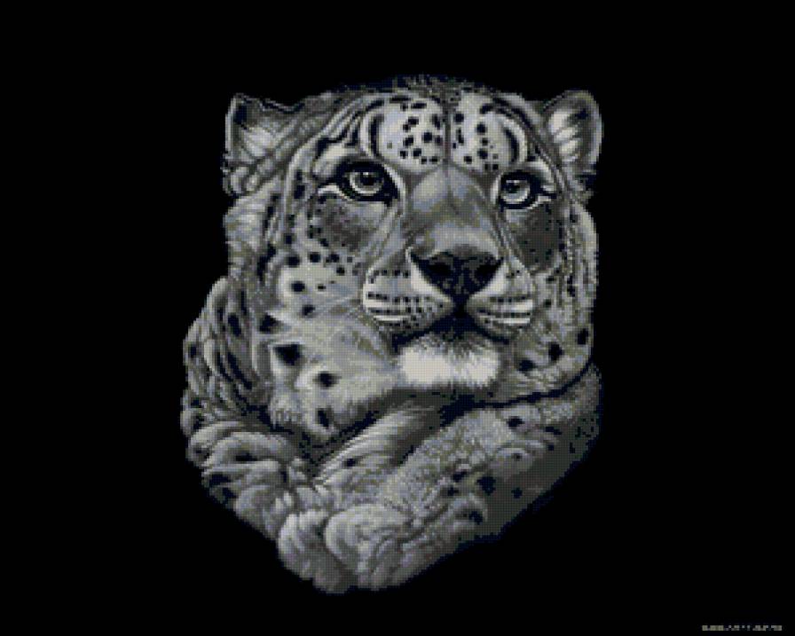 Барс - животные, кошки - предпросмотр