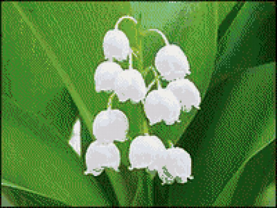 Ландыши 2 - ландыши - предпросмотр