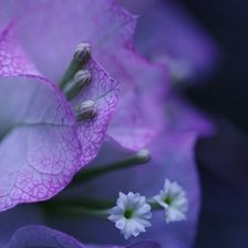 Схема вышивки «Композиция Часть 3»