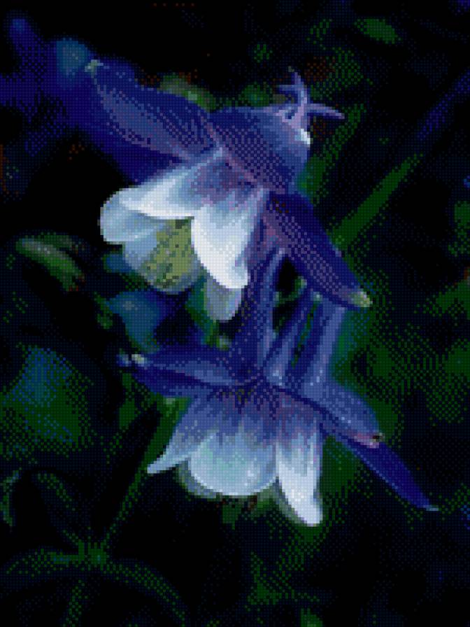 Композиция Часть 5 - цветы - предпросмотр