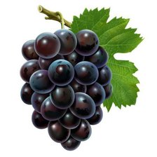 Схема вышивки «Виноград»