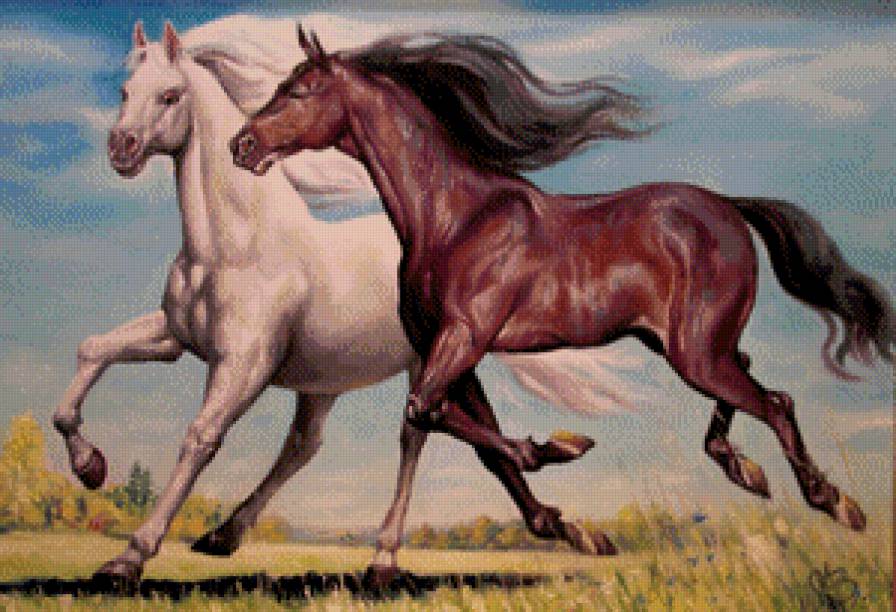 лошади - животные, любовь, верность, лошадь, пара - предпросмотр