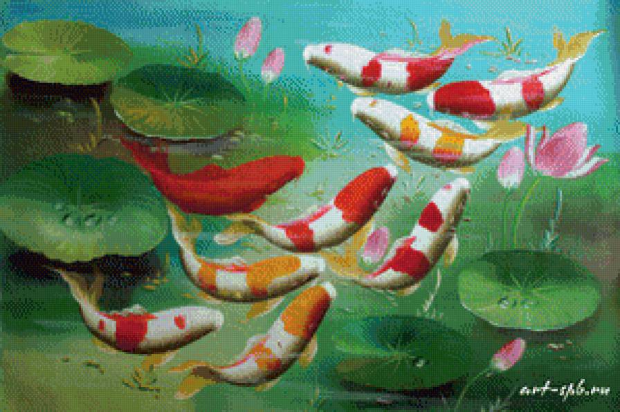 9 карпов - пруд, карп, 9 карпов, удача, счастье, фен шуй, восток, япония - предпросмотр