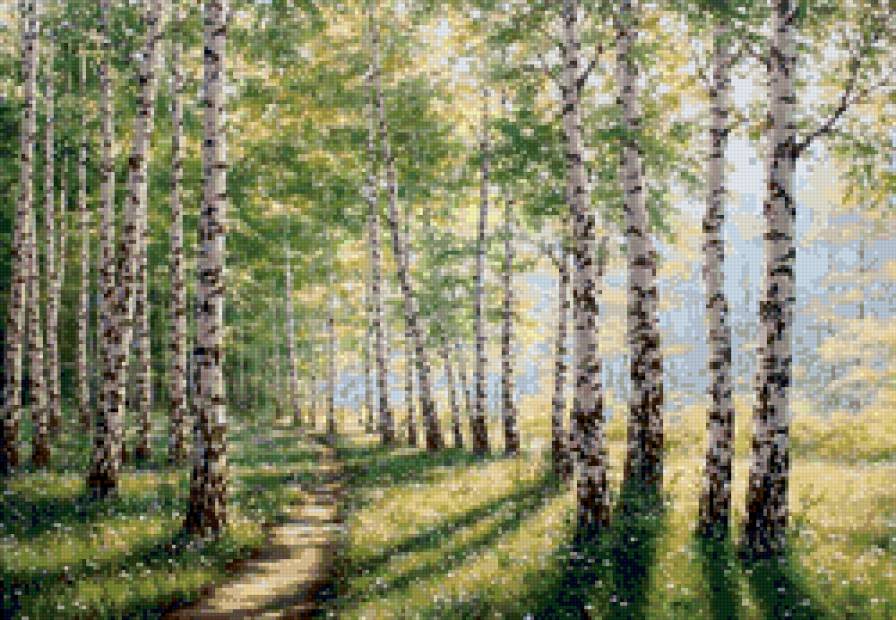 Весна в березах - весна, солнце, лес, зелень, березы - предпросмотр