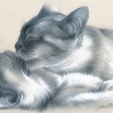 Схема вышивки «Нежность»