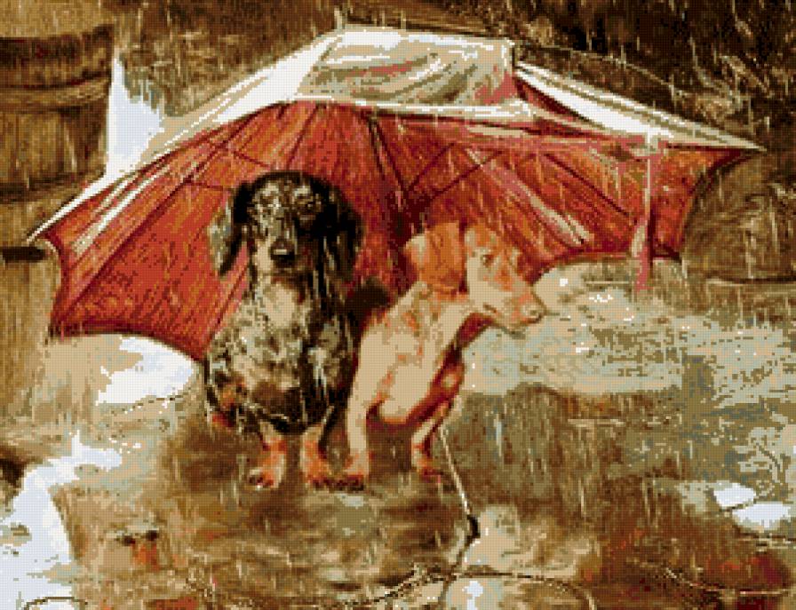 друзья - животные, собаки - предпросмотр