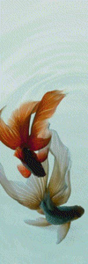 рыбки - рыбы - предпросмотр