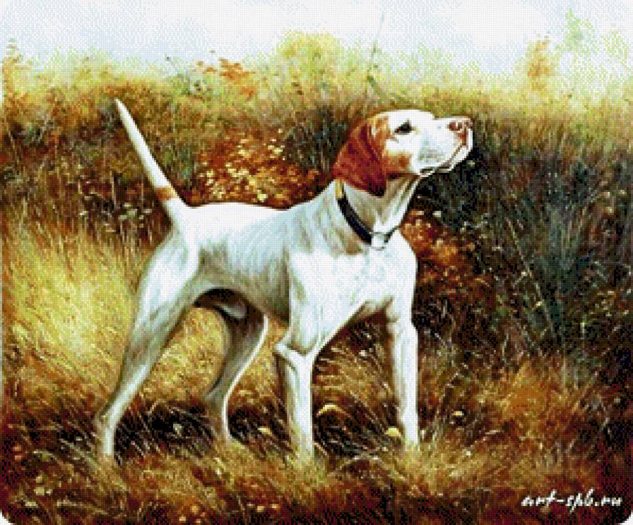 на охоте - собаки, животные - предпросмотр