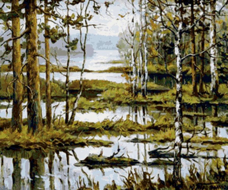 весенний разлив - лес, озеро, березы, весна, деревья, пейзаж - предпросмотр