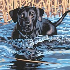 Схема вышивки «Любителям собак»