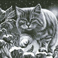 Схема вышивки «кот 12»