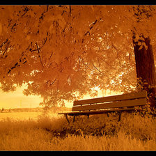 Схема вышивки «Осень»