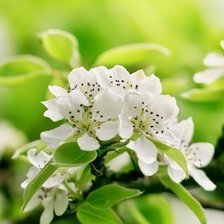 Схема вышивки «Композиция_2 Часть 3»