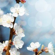 Схема вышивки «Композиция_2 Часть 6»