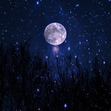 Схема вышивки «Композиция 3 Часть 3»