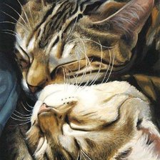 Схема вышивки «кошки»