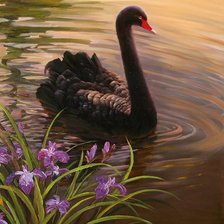 Схема вышивки «лебдь»