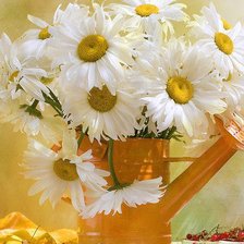 Схема вышивки «ромашки в лейке»