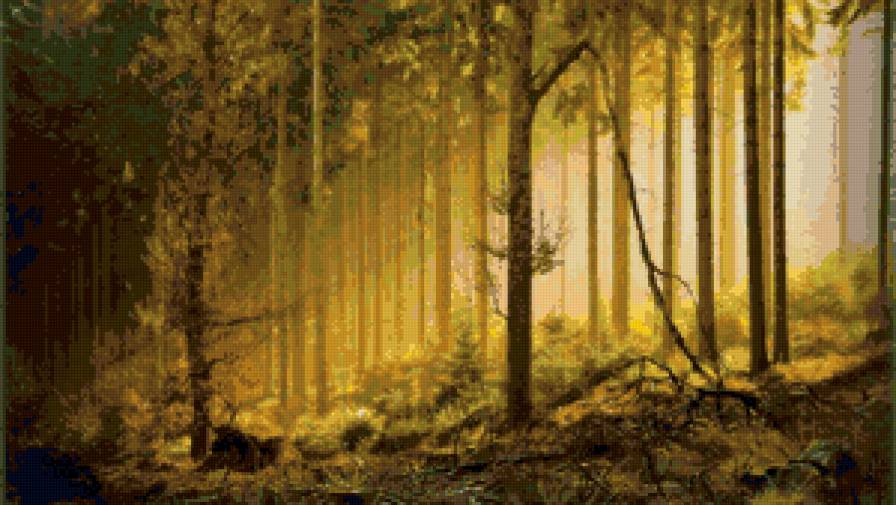 в лесу - деревья, природа, лес - предпросмотр