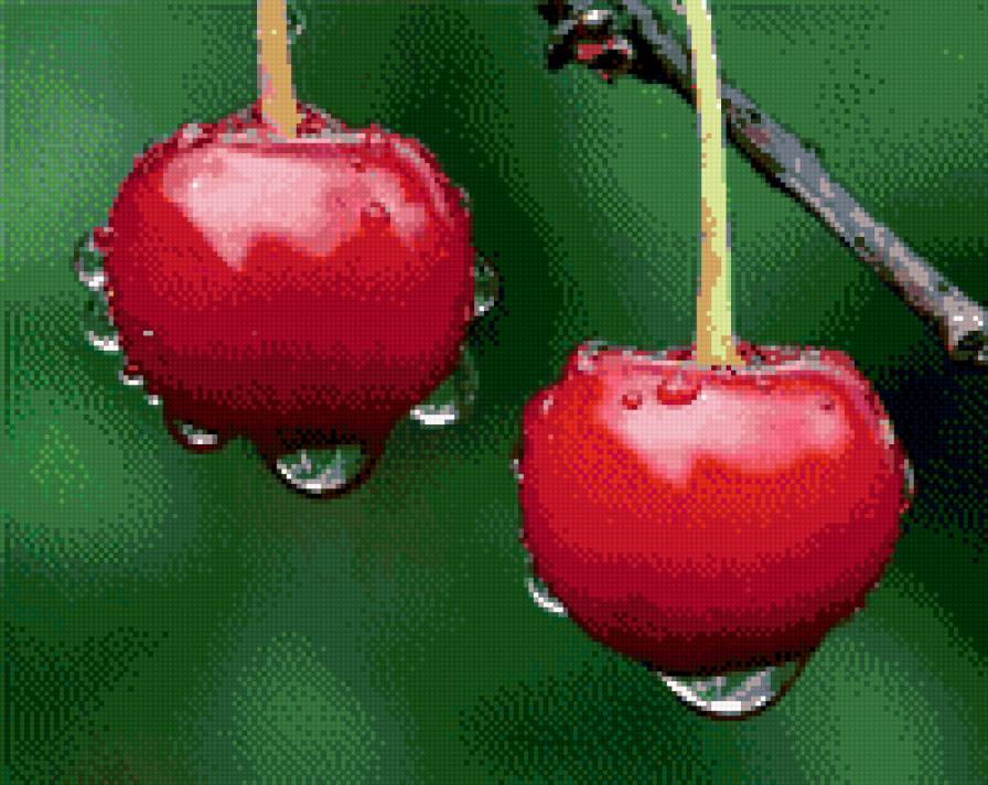 вишня в росе - роса, вишня, капли, кухня, ягода - предпросмотр