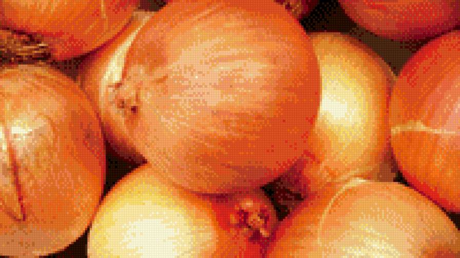 лук - лук, цебуля, кухня - предпросмотр