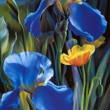 Схема вышивки «ирисы»