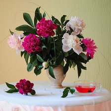 Схема вышивки «пионы»