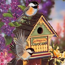 Схема вышивки «птичка»