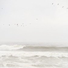 Схема вышивки «белое море»