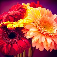 Схема вышивки «№653316»