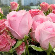 Схема вышивки «№653321»