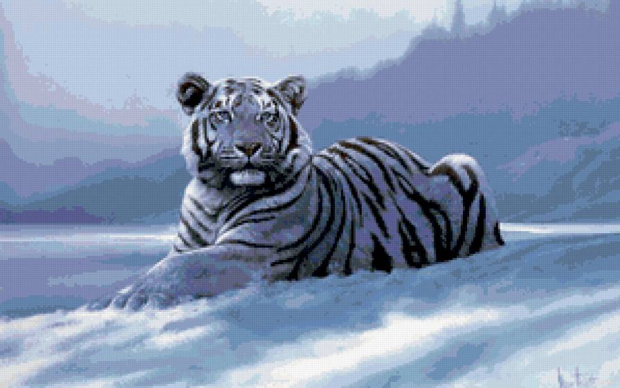 Белый тигр на снегу - предпросмотр