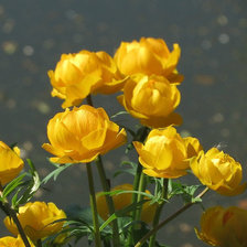 Схема вышивки «№653469»