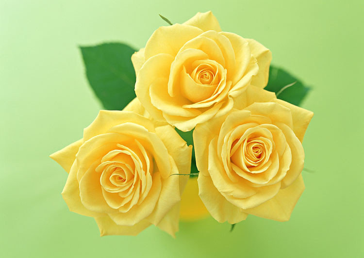 №653473 - оригинал