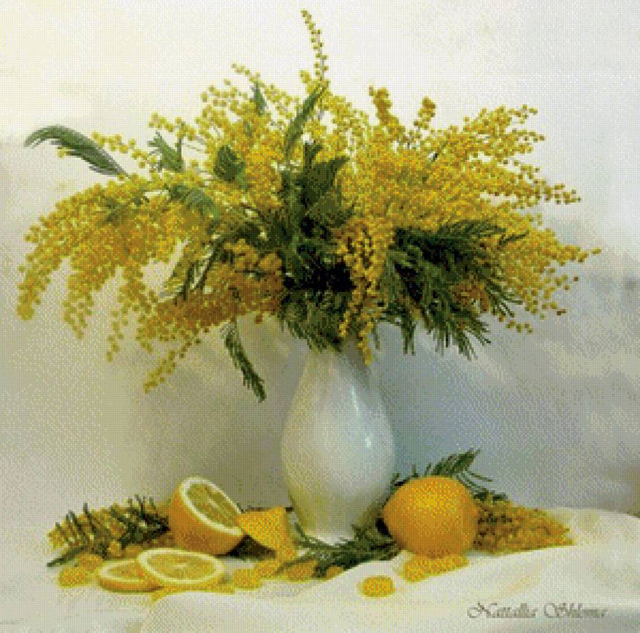 мимоза - предпросмотр