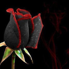 Схема вышивки «№653485»