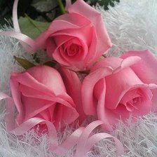 Схема вышивки «№653488»