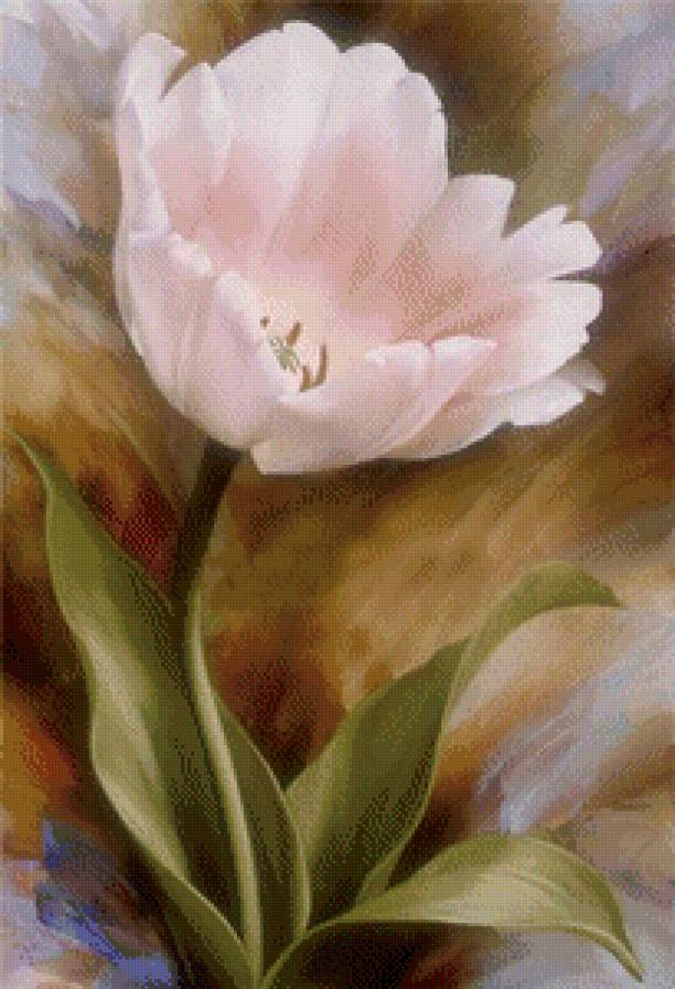 тюльпан - предпросмотр