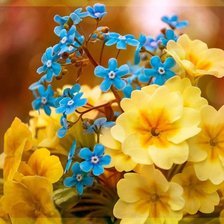 Схема вышивки «№653500»