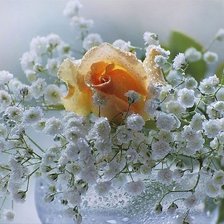 Схема вышивки «№653502»