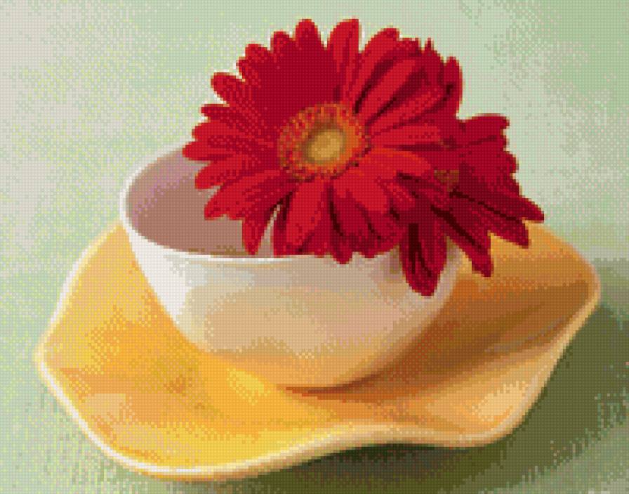 герберы - кухня, цветы - предпросмотр